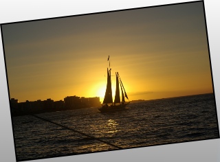 Cape Town 2008